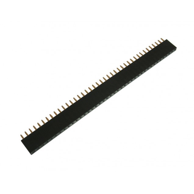 TIRA DE PINES HEMBRA 40P